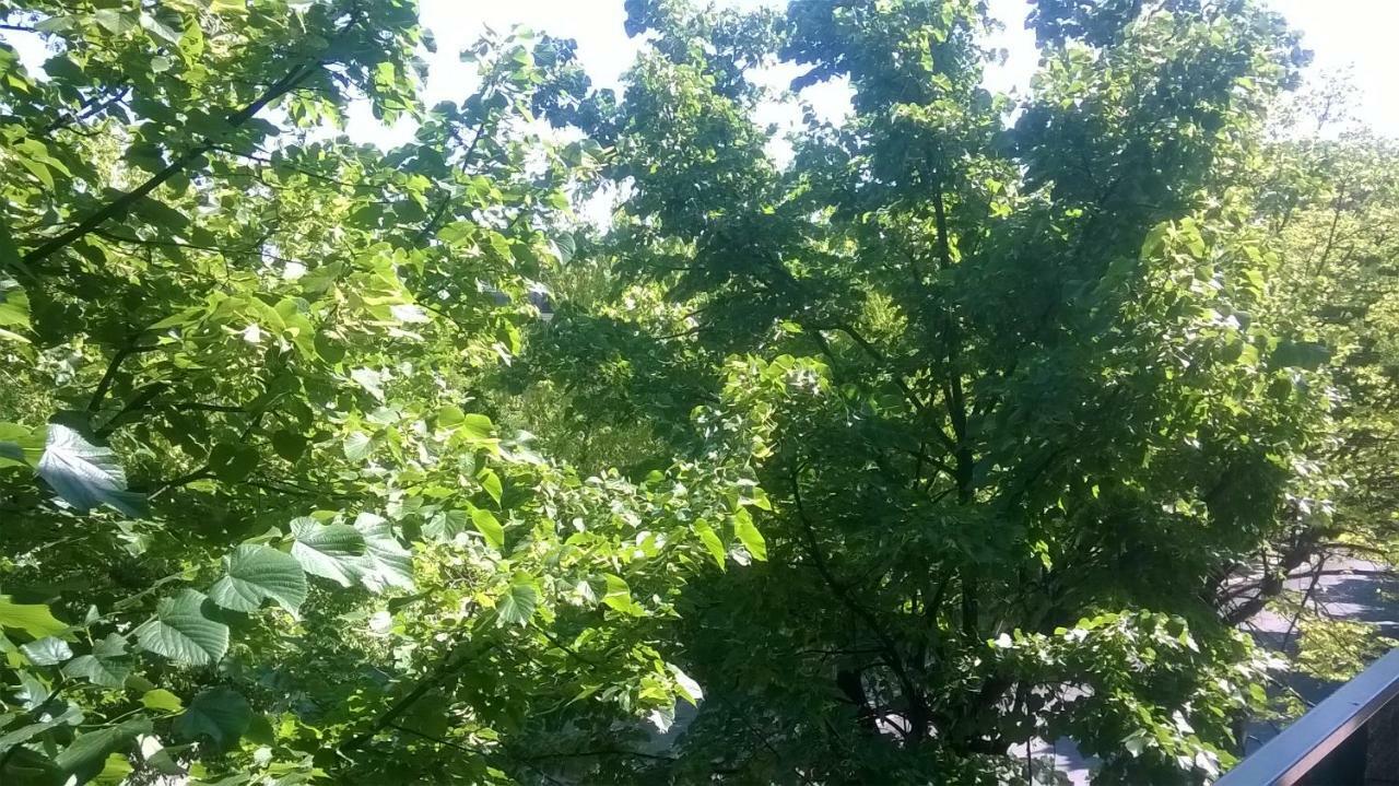 Appartamento La Bonifica Pescara Dış mekan fotoğraf